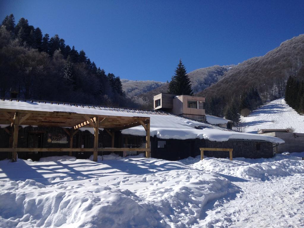 Aux 500 Diables Eco Lodge - Hotel Chambon-sur-Lac Exterior foto